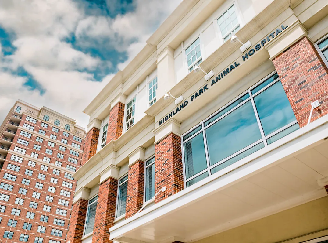 The Highland Park Animal Hospital building and its signage on McKinney Avenue