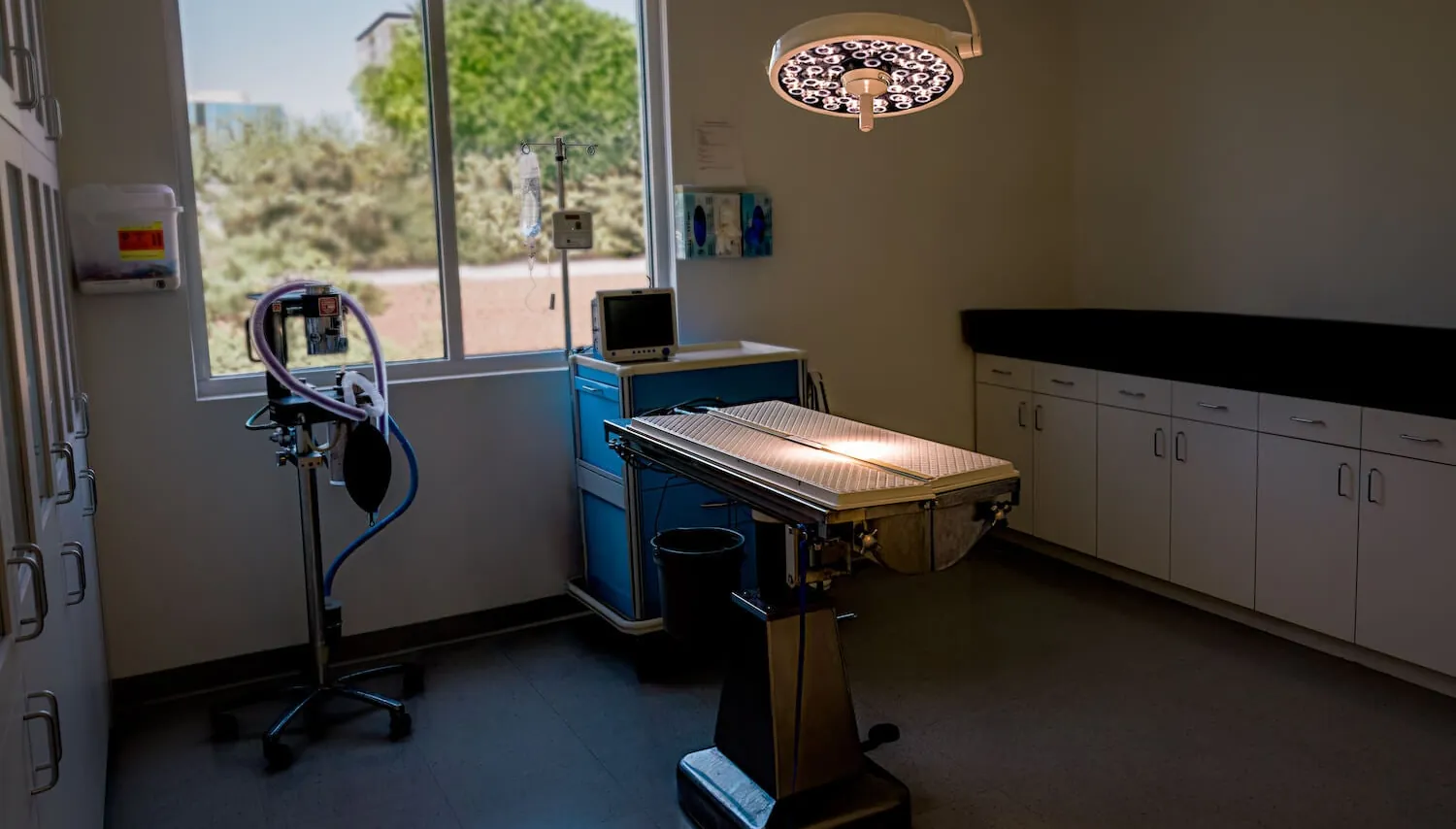 An exam room at Highland Park Animal Hospital